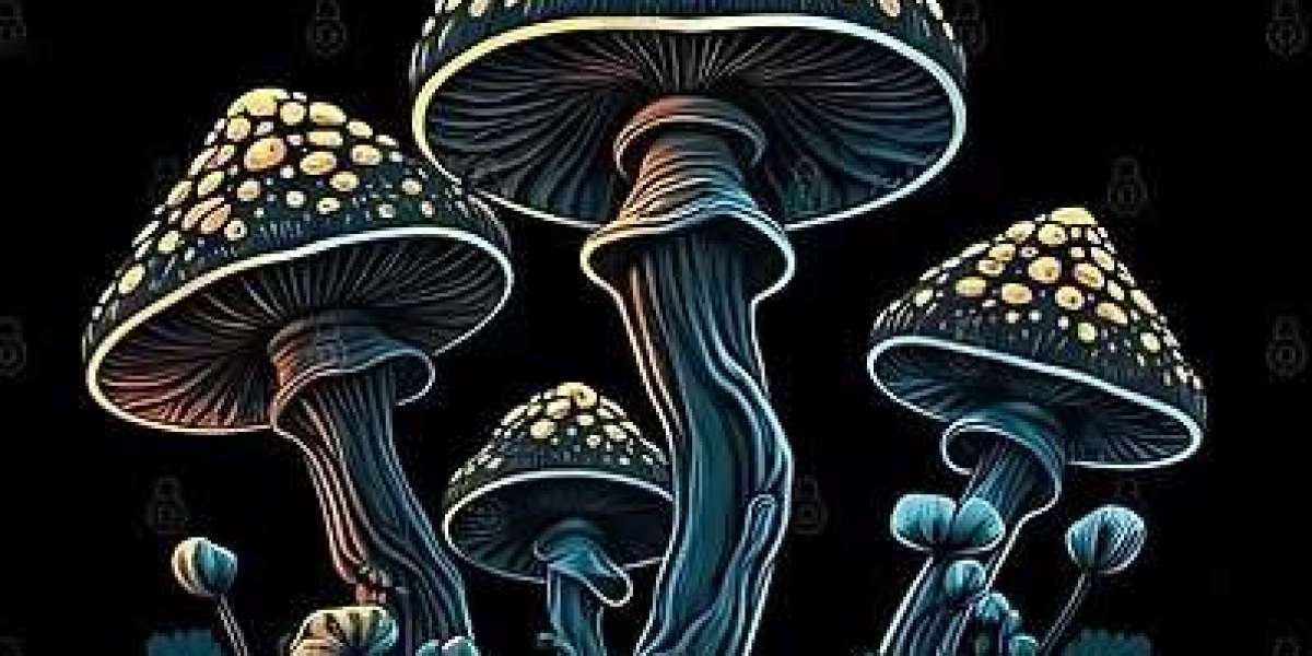 From Coffee to Capsules: The Mushroom Revolution in Ann Arbor