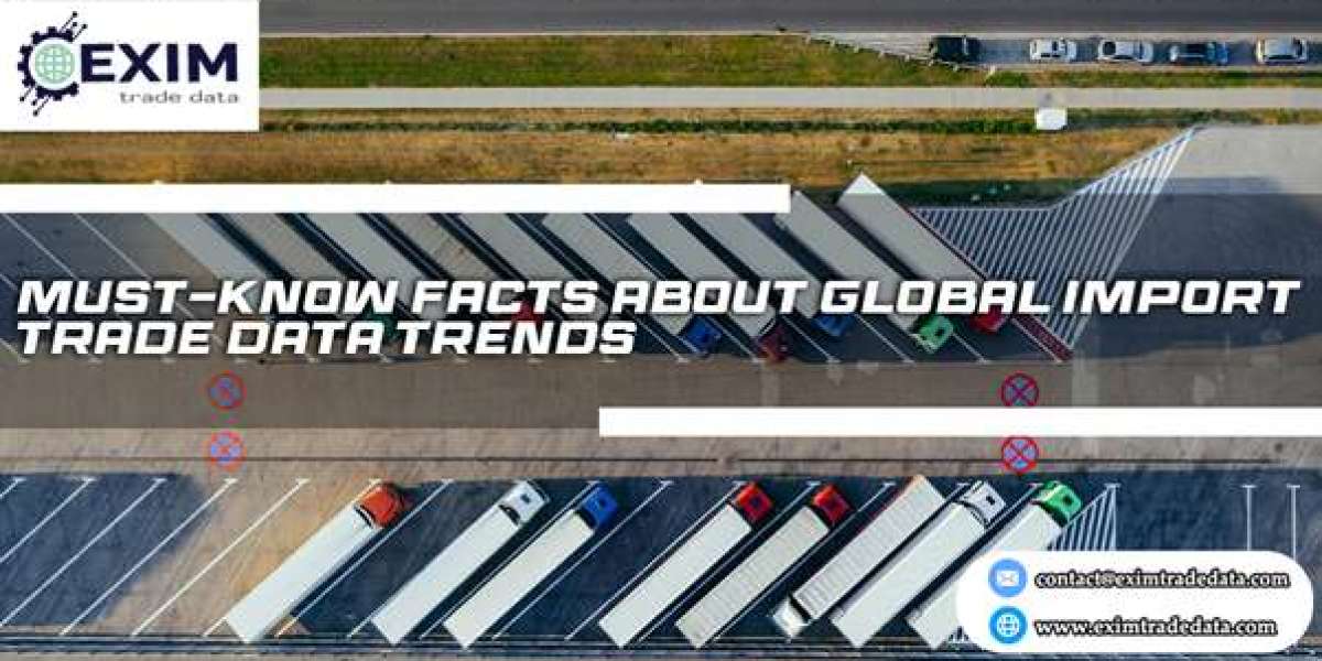 Must-Know Facts About Global Import Trade Data Trends