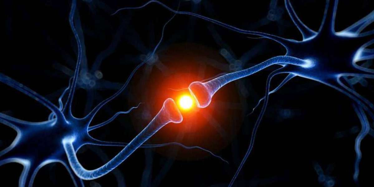 Rise in R&D Investments Accelerates Growth in the Neurodegenerative Disease Market 2032