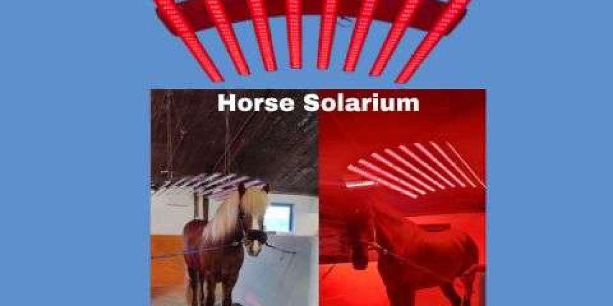 Enhancing Equine Wellness with a Premium Horse Solarium