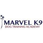 Marvelk9