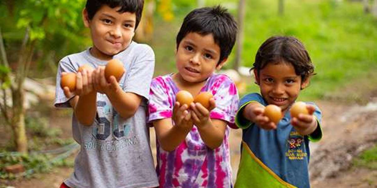 Children Charity Singapore: Why Supporting Kids and Helping Malnourished Children Matters