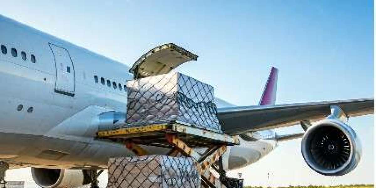 Shipping Support: The Backbone of Modern Logistics
