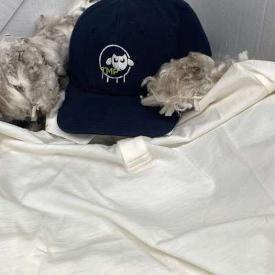 Long Sleeve Polo - Australian Merino - Unisex - White Cream Profile Picture