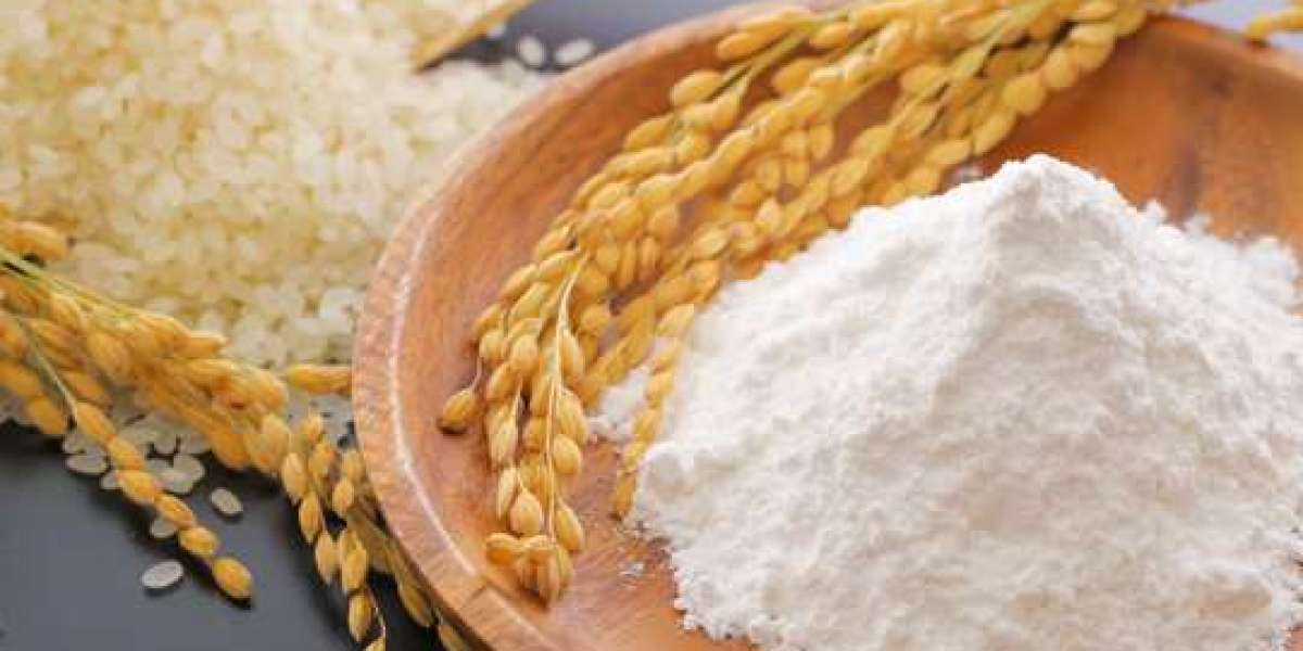 Rice Flour Market Growth Challenges Affecting Industry Expansion, Consumer Adoption, and Competitive Strategies Globally