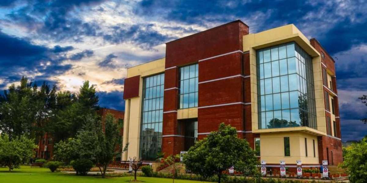 Pathways to Success: Higher Education Choices in Karachi