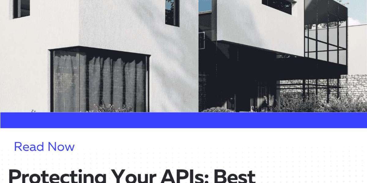 Protecting Your APIs: Best Practices for NET Web API Security, API Authorization, and Bot Protection
