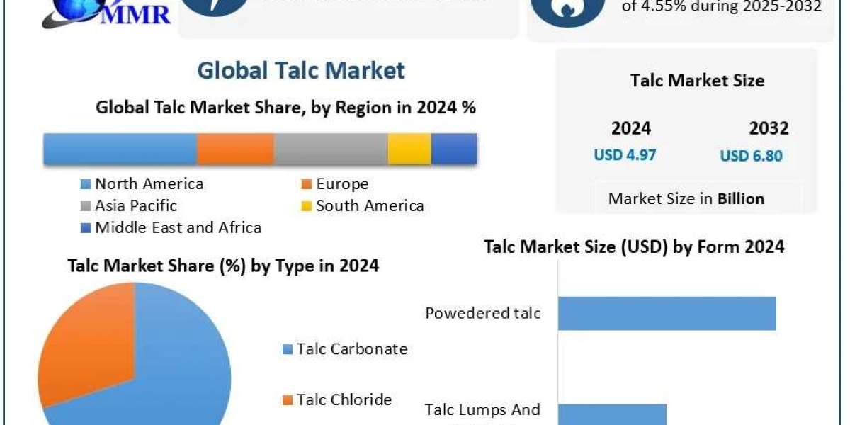 Talc Market Demand, Industry Overview and Competitive Analysis Forecast 2025-2032