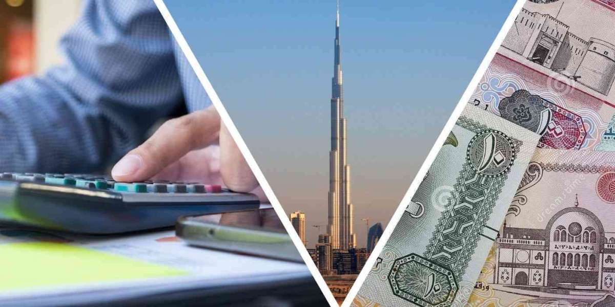 UAE Debt Collection Company: Your Partner in Recovery