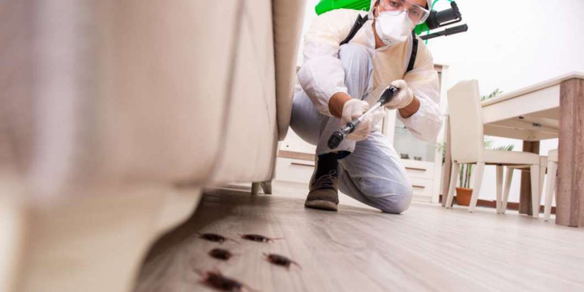 Pest Control Explained: How It Works, Why It Matters, and the Benefits of Regular Treatments for Homes & Businesses