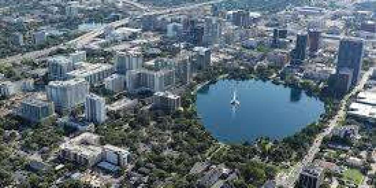 Magical Adventures Await: Plan Your Holidays to Orlando with Cassidy Travel