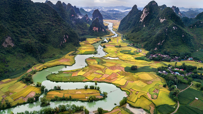 How To Check Vietnam Visa Application Status Online?