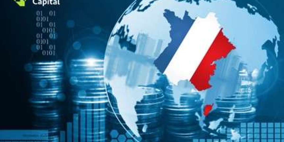 Dominique Crestin : La France se dirige vers un centre de planification patrimoniale