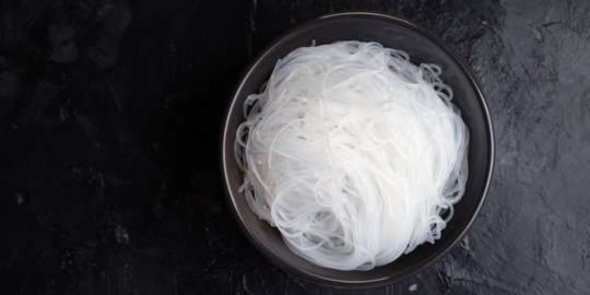 Roll-Dried Starch Market Barriers Impacting Global Expansion, Industry Performance, and Competitive Opportunities