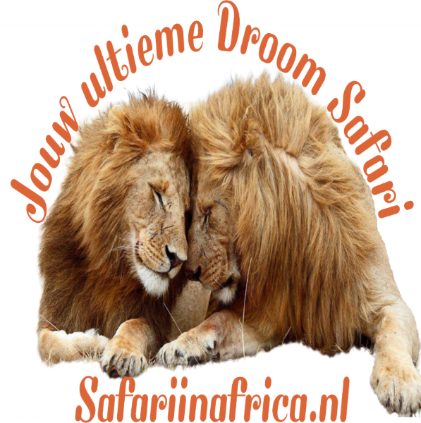Onvergetelijke Safari Ervaringen in Kenia – Boek Nu!
