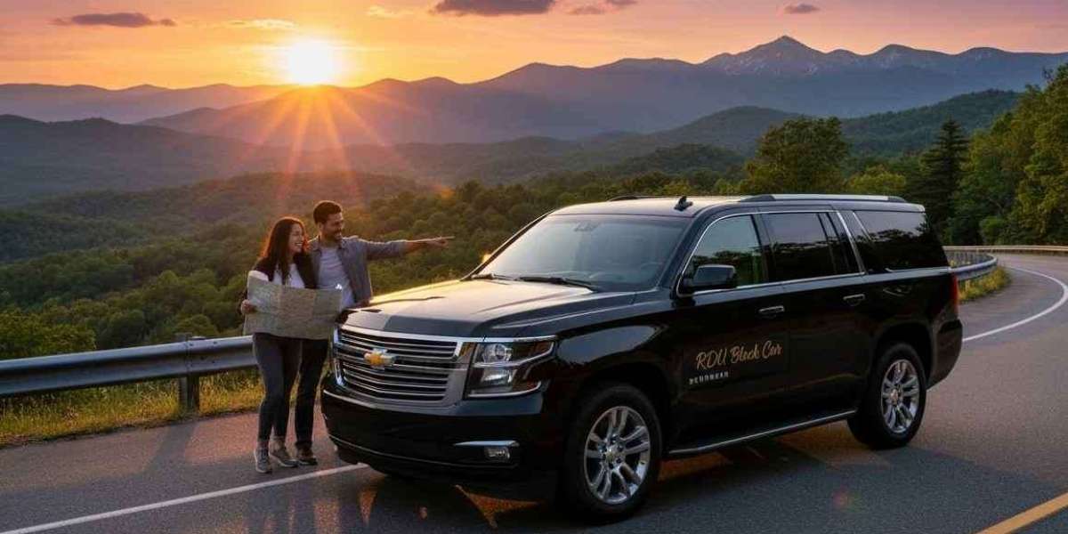 Car Rental for Road Trip  Your Guide