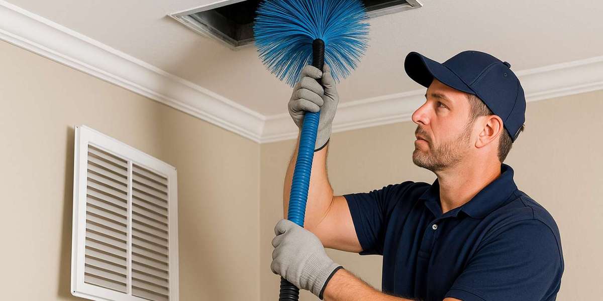 Improving Indoor Air Quality in Niagara Falls: More Than Just Opening a Window