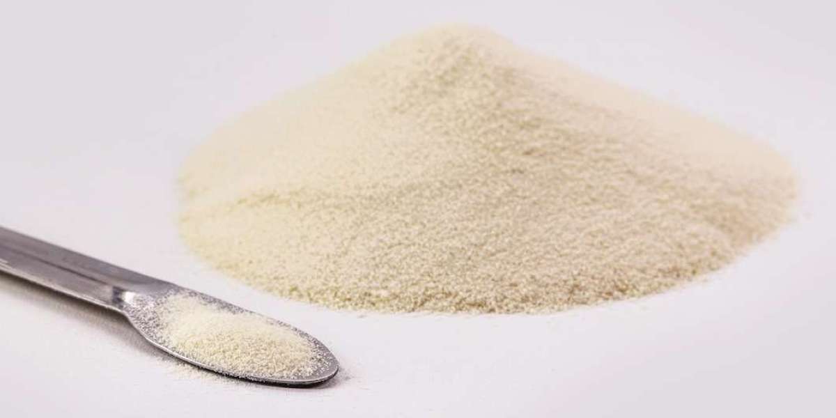 Report on Gelatin Powder Manufacturing Plant Setup with Cost Analysis and Requirements
