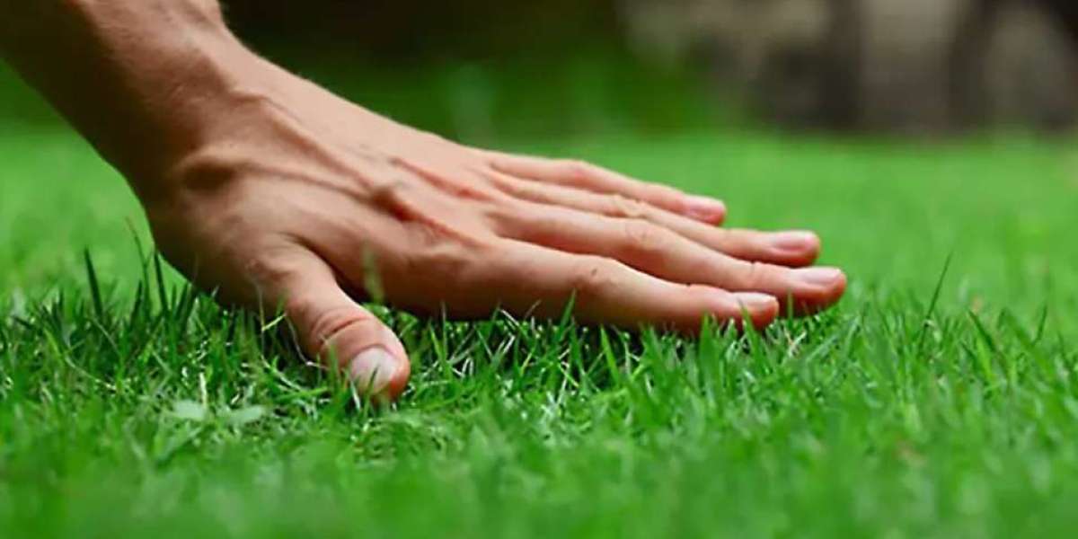 How to Master Ground Care Landscaping Techniques