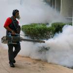 Pest Control Near Me