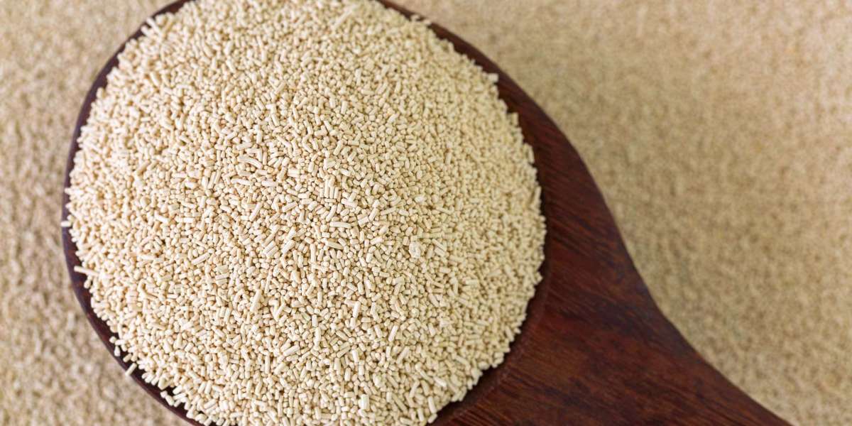 Yeast Manufacturing Plant Setup Cost Report Covers Project Economics, Business Plan and Requirements