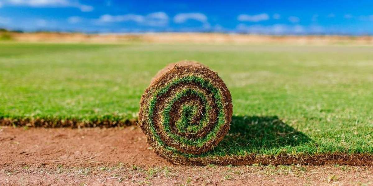 Southland SOD Farms: Boosting Lawn Health with Marathon Grass Fertilizer