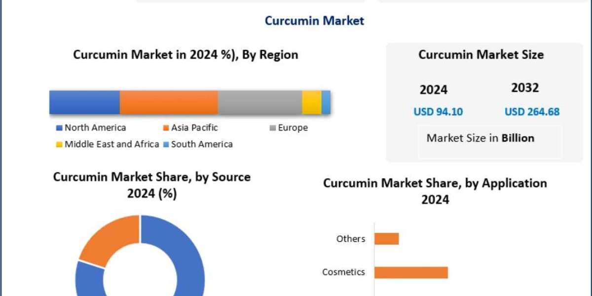 Curcumin Market Segmentation by Application, Form, and Distribution Channel 2032