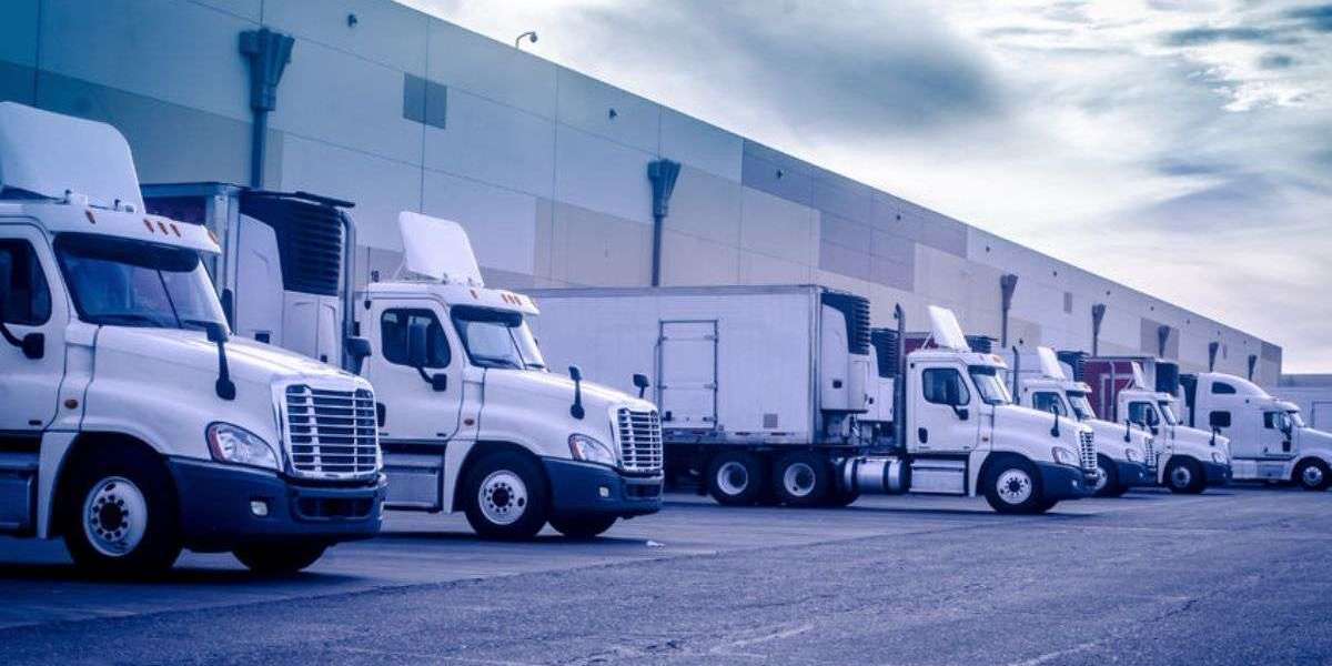 The Critical Role of a DOT-Certified SAP in the Return-to-Duty Process