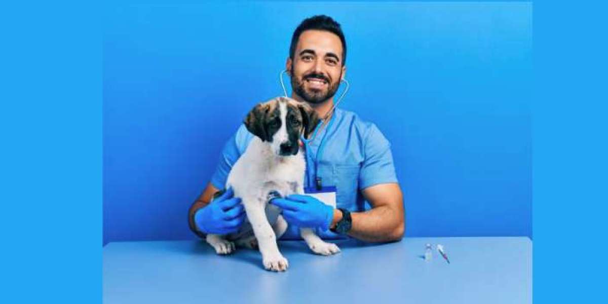 The Best Vet Clinics Near You: Are They Worth the Hype