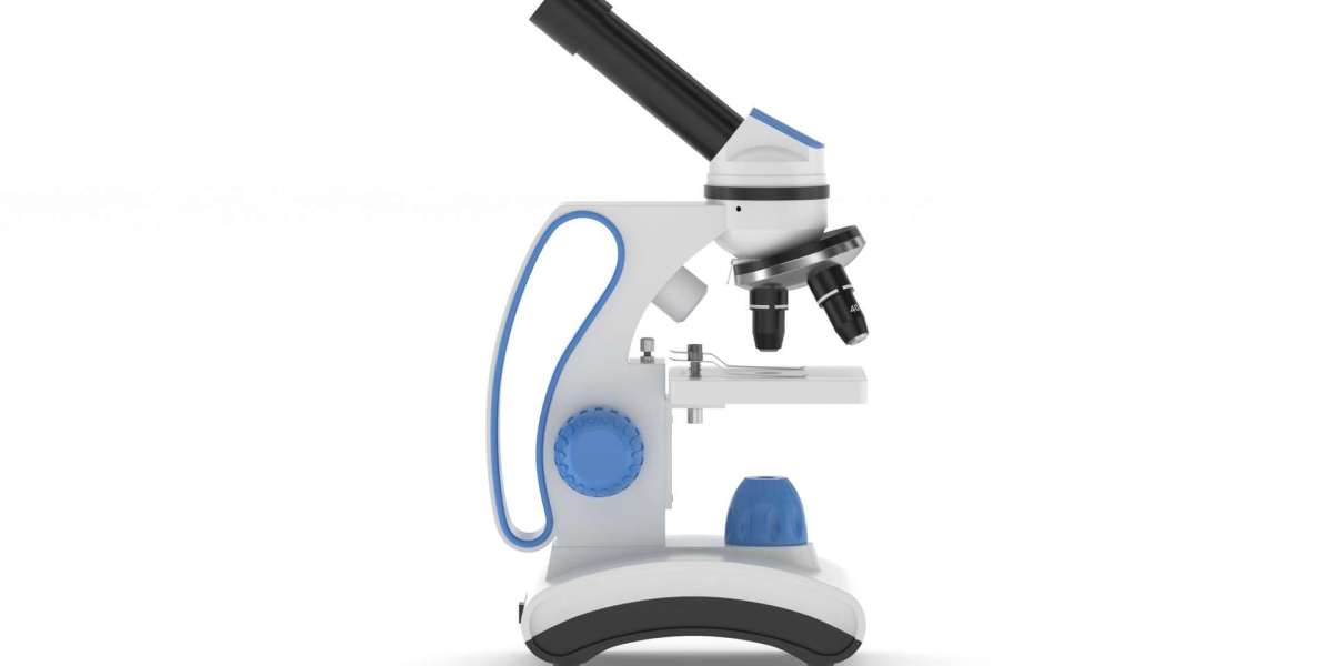 Medical Camera Market Overview: Innovations and Trends in Minimally Invasive Procedures