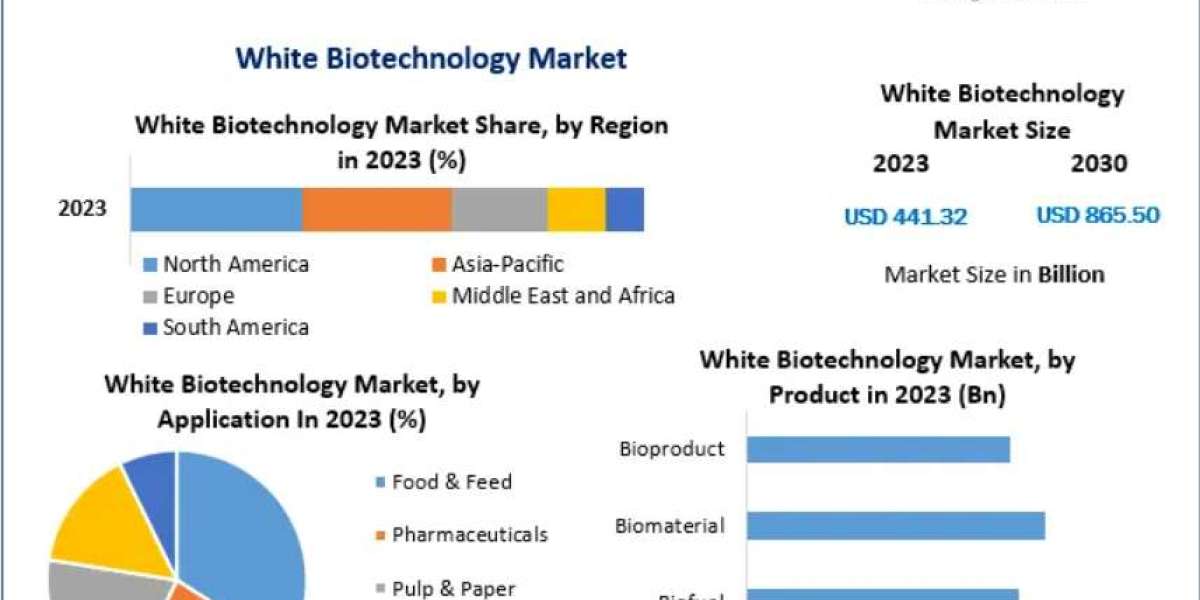 White Biotechnology Market Strategic Roadmap and Future Growth Potential 2030