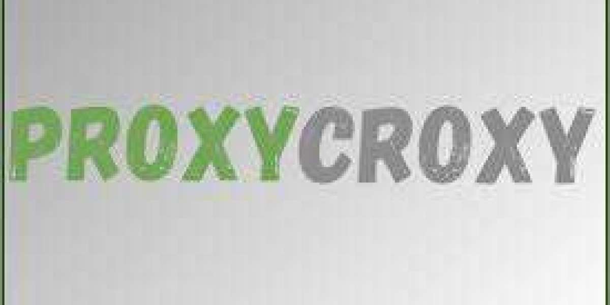 Discover How ProxyCroxy Keeps Your Browsing Private
