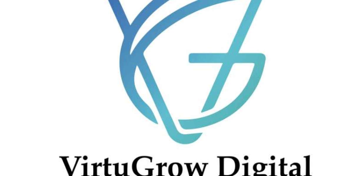 Virtugrow: The Best Digital Marketing Company in Lucknow.