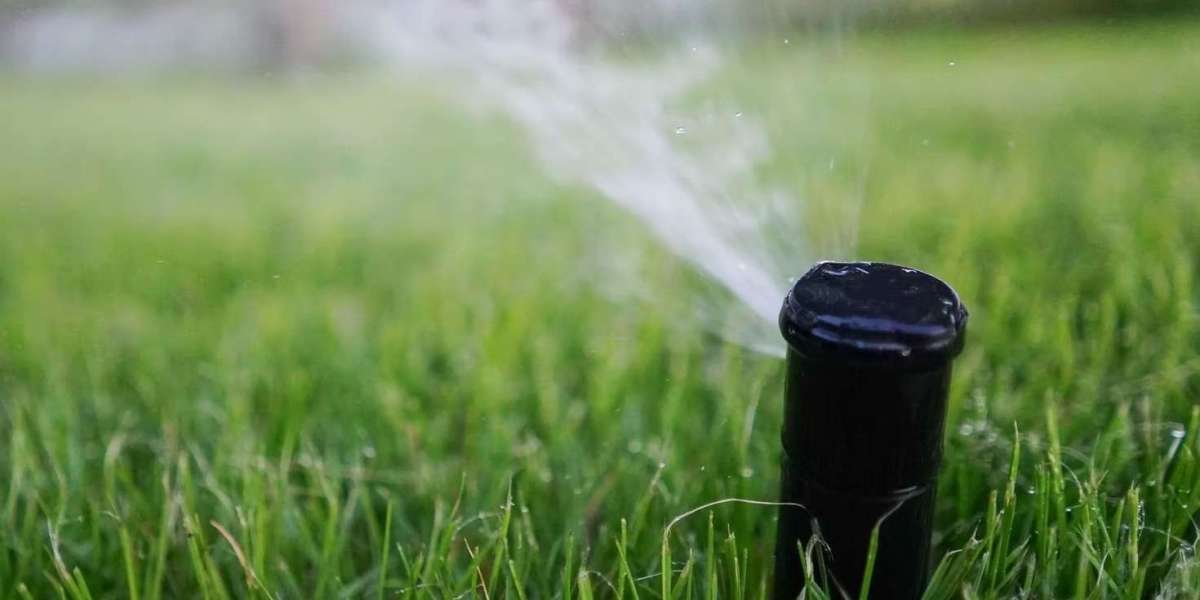 Troubleshooting DIY Irrigation Repairs in Tucson
