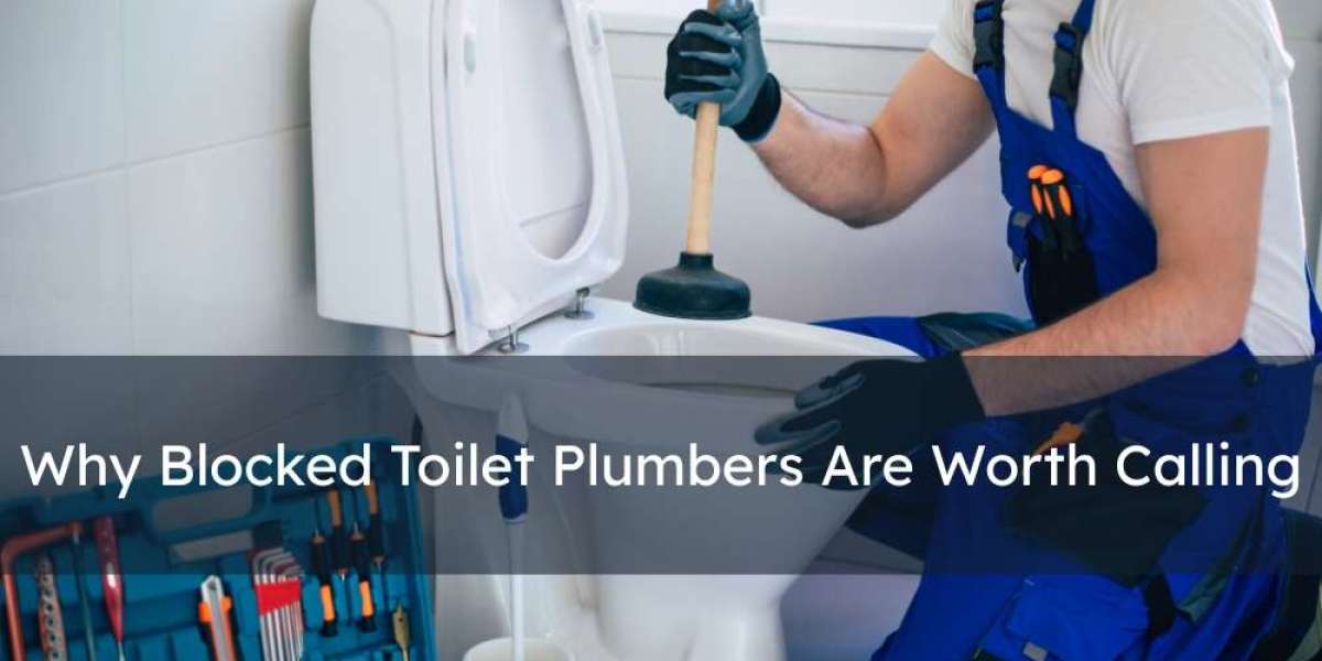 Why Blocked Toilet Plumbers Are Worth Calling
