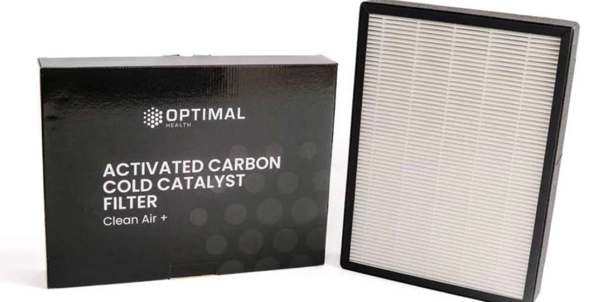 Understanding the Role of an Activated Carbon Cold Catalyst Filter in Air Purification