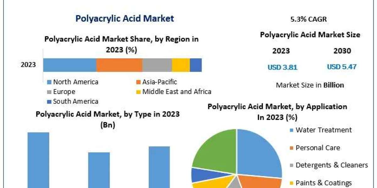 Polyacrylic Acid Market Insights, Share, and Expansion Opportunities (2024-2030)