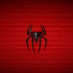 Spyder Hoodie