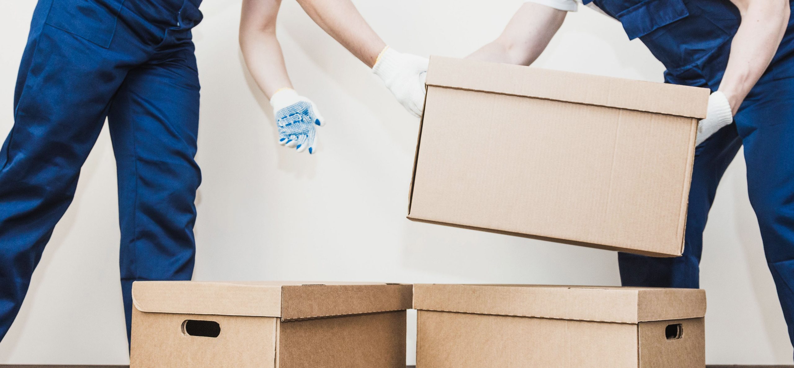 Choosing the Best Moving Company in Melbourne: Everything You Need to Know - Genius Vision