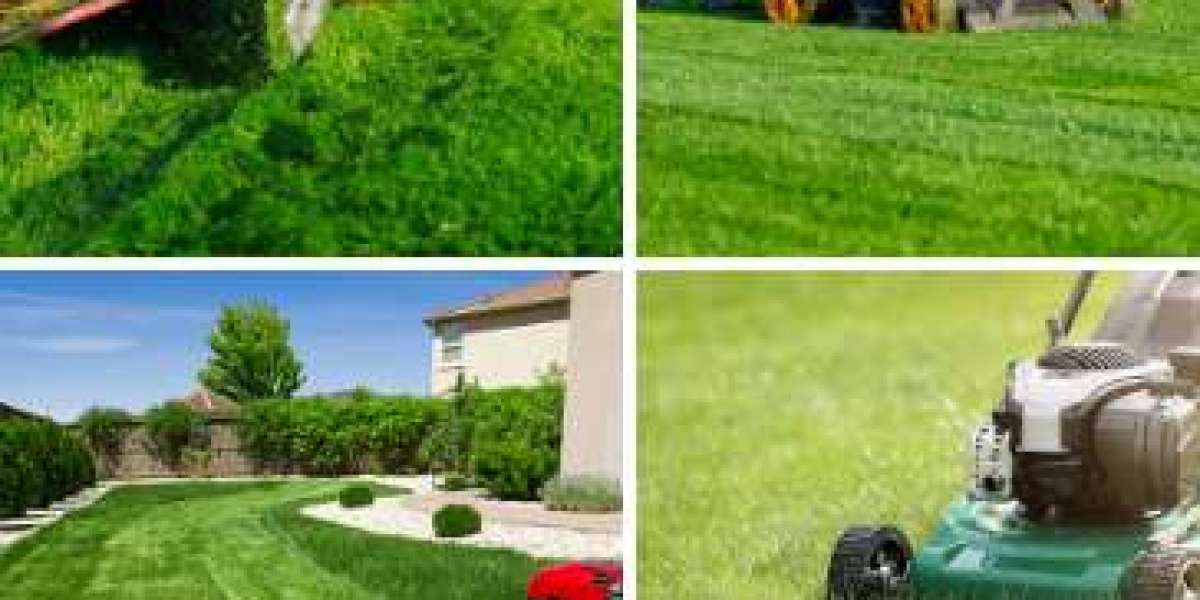 Why Hiring Lawn Care Services in Richardson, TX Saves You Time and Money