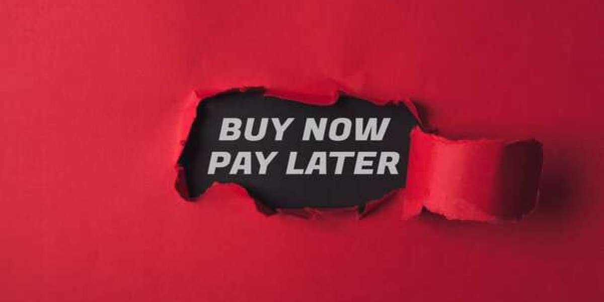 Buy Now Pay Later Market Barriers Restricting Growth Potential Across Global Retail And Financial Services