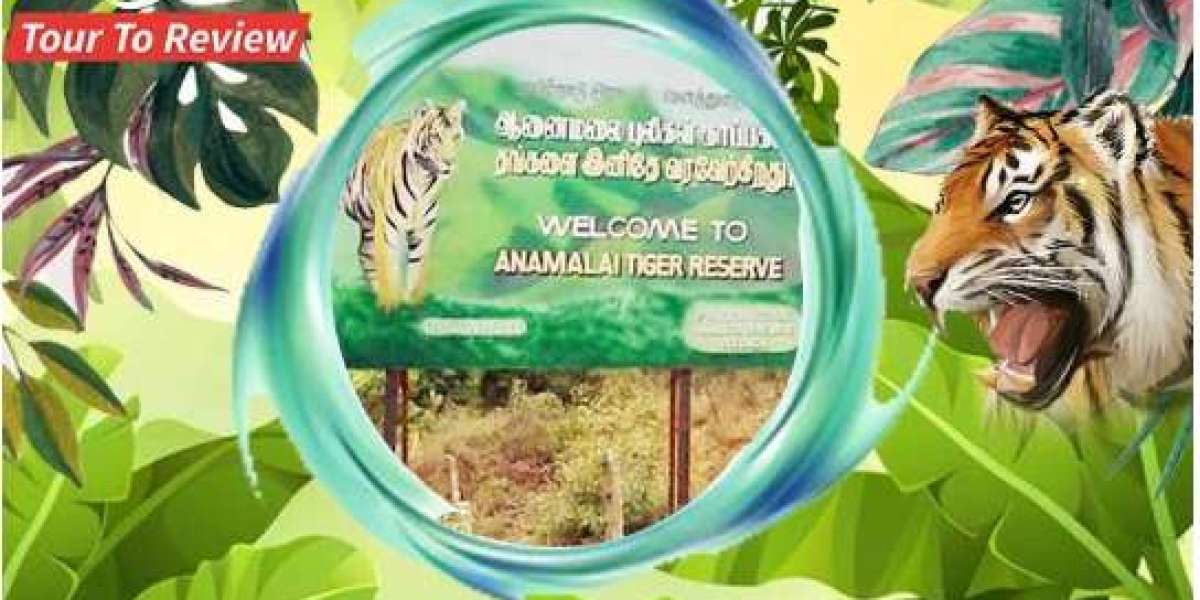 Anamalai Tiger Reserve: A Hidden Gem of the Western Ghats