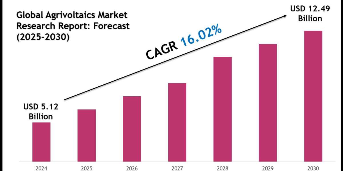 Agrivoltaics Market 2030: Key Companies, Player Strategies & Forecast