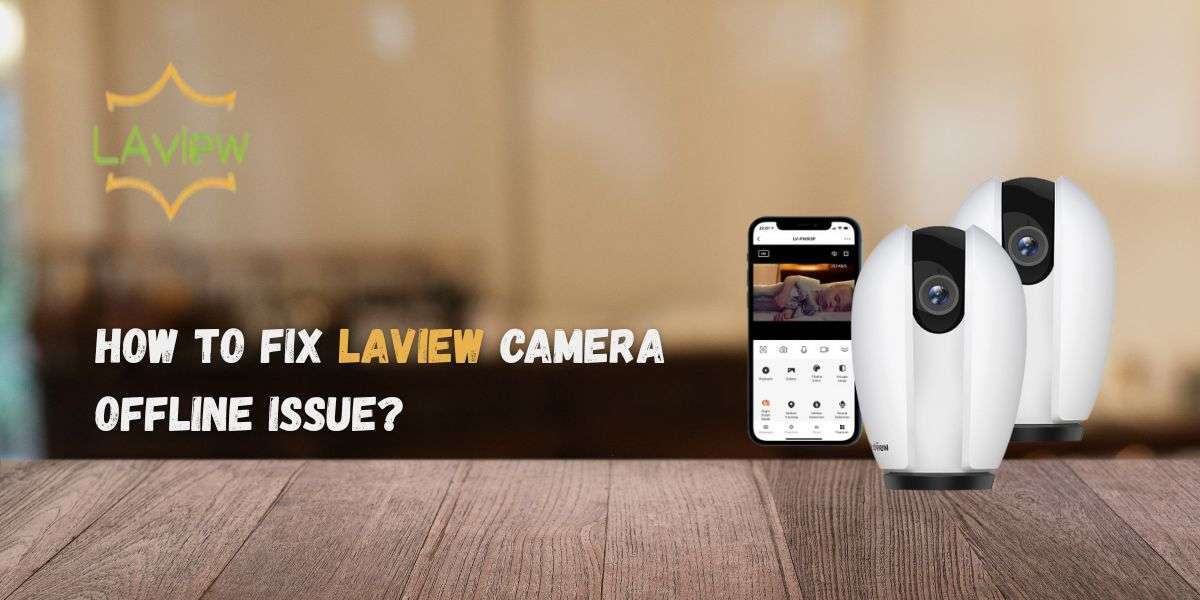 How To Fix Laview Camera Offline Issue?