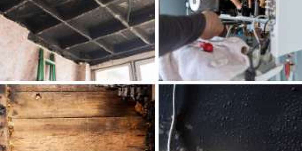 Water Damage Zone Experts Share Best Practices for Fire and Water Recovery