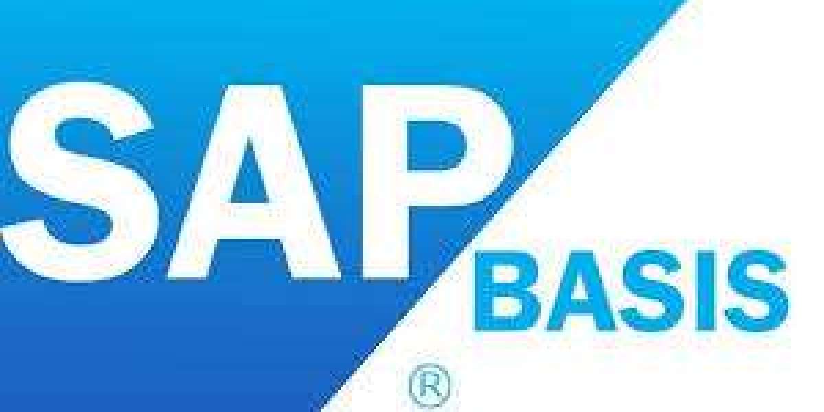 Why are SAP Basis  Classes considered the backbone of SAP careers