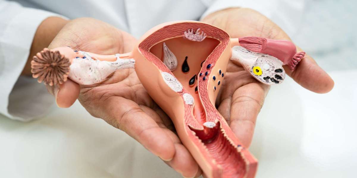 Finding the Best Hospital for Women Near Me: A Complete Guide to Quality Women’s Healthcare