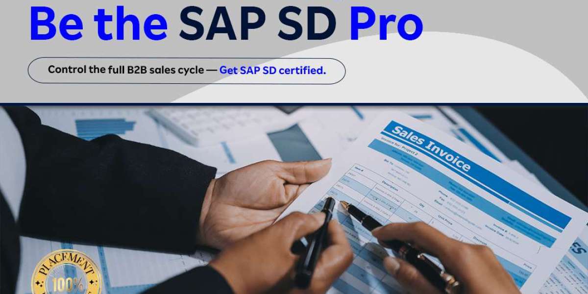 How Can SAP SD Training Help Students Secure Internships?