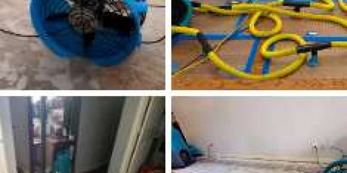 Air Duct Cleaning for Allergies: Breathe Easier at Home