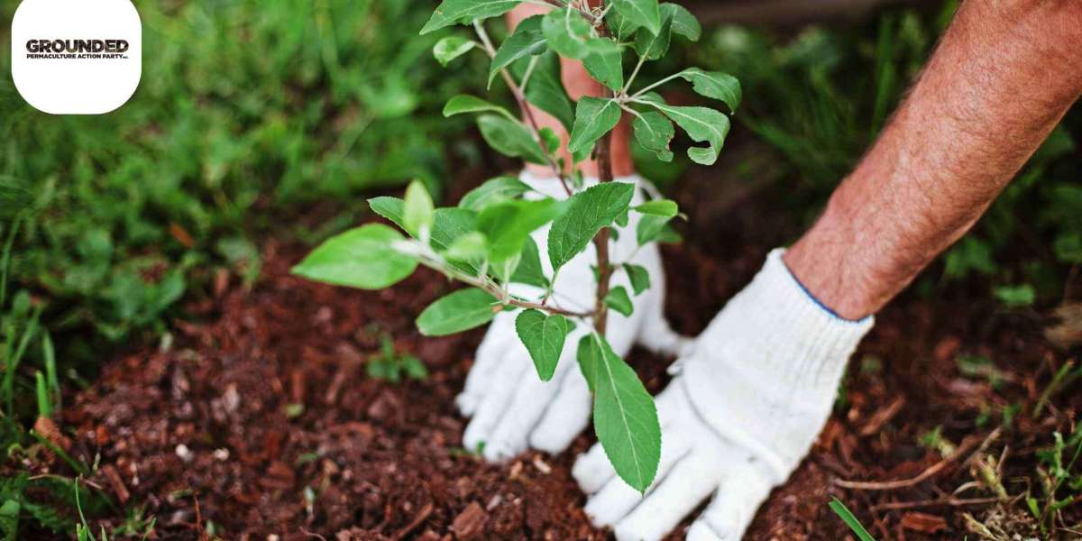 How a Permaculture Design Certificate Can Change the Way You Live